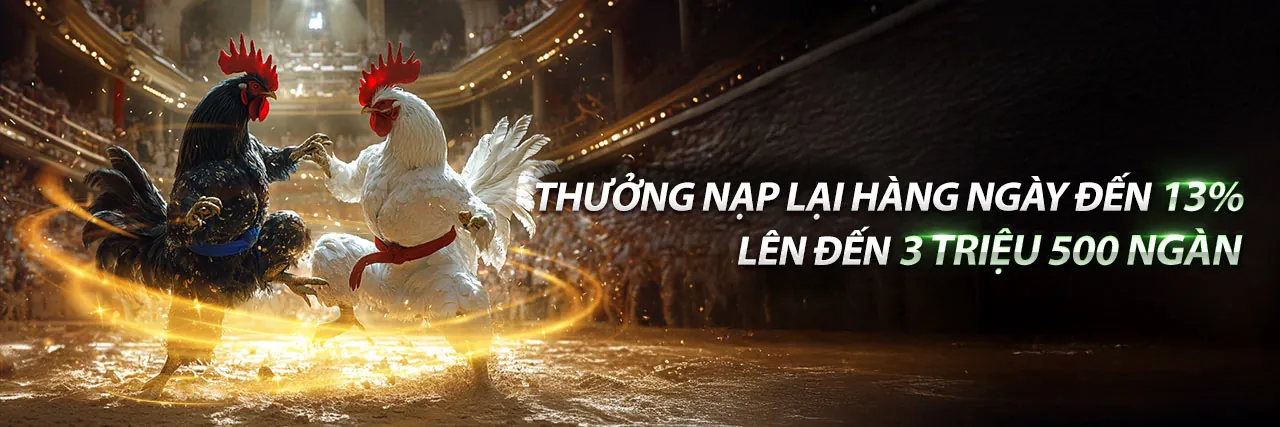 Đá gà trực tuyến kịch tính tại bong90 truc tiep