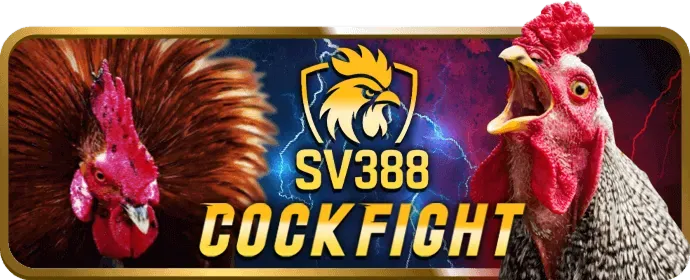 Chơi Slots Trên Di Động